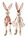 Figura decorativa con conejos ( 2 unidades) - Beige-rosa - bonprix