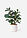 Planta artificial - Verde oscuro - bonprix