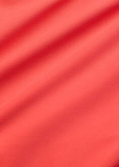 Braguita de bikini de talle alto